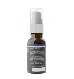 ARAGAN SYNACTIFS - MELACTIFS 15 gélules