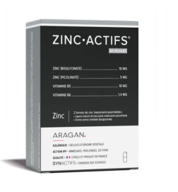 SYNACTIFS ZINCACTIFS GELUL 60