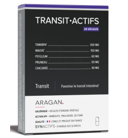 TRANSIT-ACTIFS SYNActifs