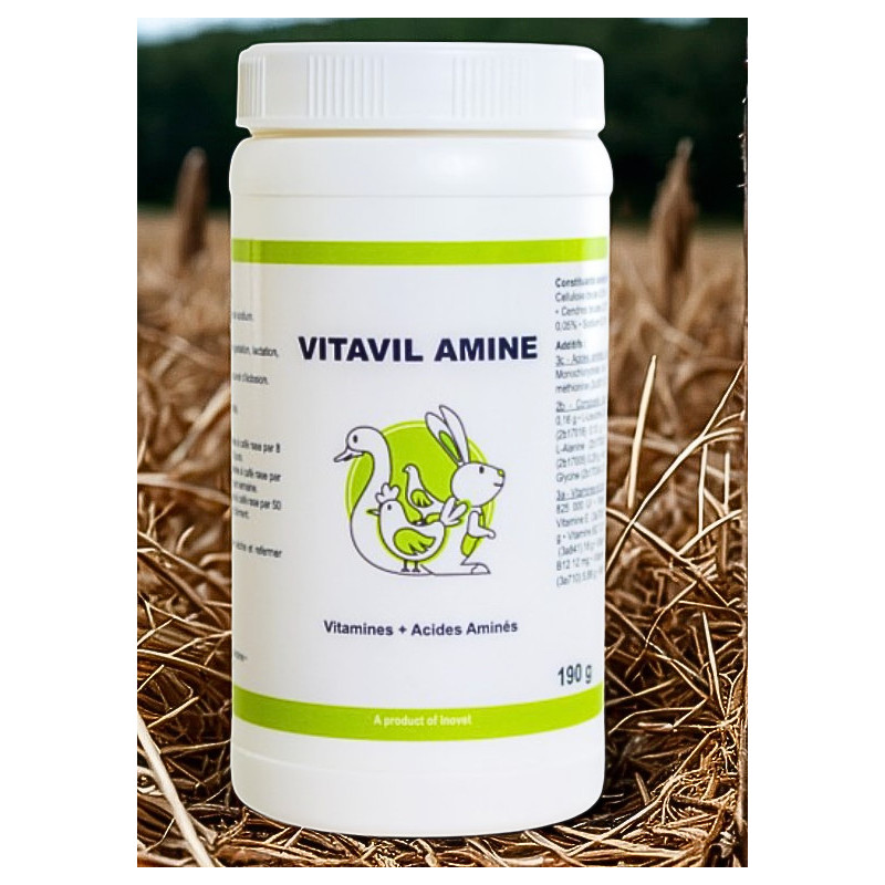 VITAVIL AMINE PDR/SOL BUV 190G VITAVIL AMINE PDR/SOL BUV 190G