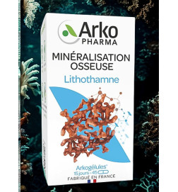 ARKOGELULES BASIDOL BTE 45