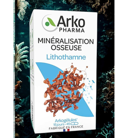 ARKOGELULES BASIDOL BTE 45