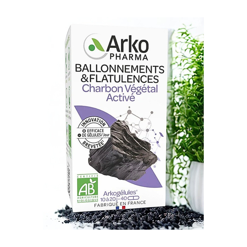 ARKOGELULES CHARBON VEGETAL 45 gélules ARKOGELULES CHARBON VEGETAL 45 gélules