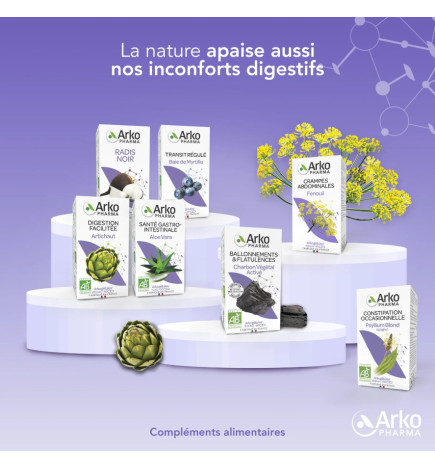 ARKOPHARMA ARKOGELULES CHARBON VEGETAL 40 gélules