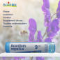 ACONITUM NAPEL. TU 9CH
