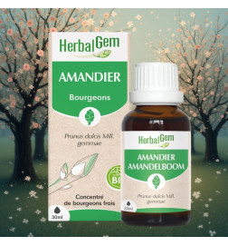 MACERAT AMANDIER BIO HERBALGEM circulation sanguine
