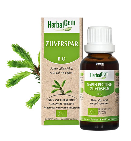 Macérat de sapin pectiné bio Herbalgem – gemmothérapie jeunes pousses confort respiratoire croissance infantile