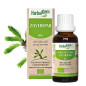 SAPIN PECTINÉ – Jeunes pousses Bio – Macérat de gemmothérapie – Herbalgem