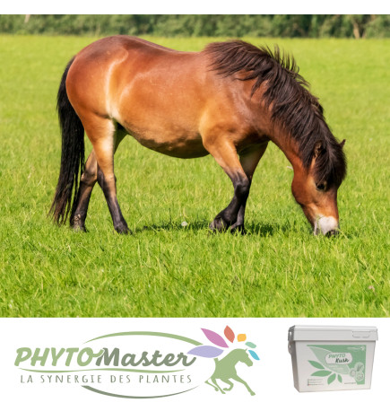 PHYTO KUSH Plantes sèches pour chevaux Sac 1 kg