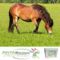 PHYTO KUSH – Aliment complémentaire naturel pour chevaux pot de 1 kg PHYTO KUSH – Aliment complémentaire naturel pour chevaux pot de 1 kg