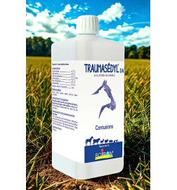 TRAUMASEDYL GA 1L