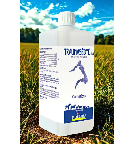 TRAUMASEDYL GA 1L