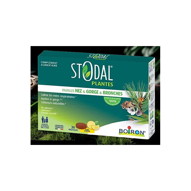 STODAL PLANTES PAST CITRON 36