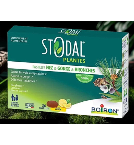 STODAL PLANTES Pastilles Citron – 36 pastilles
