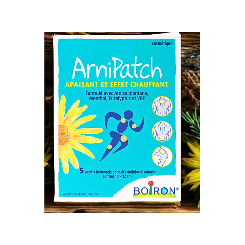 ARNIPATCH APAIS&CHAUFF 10X12CM 5