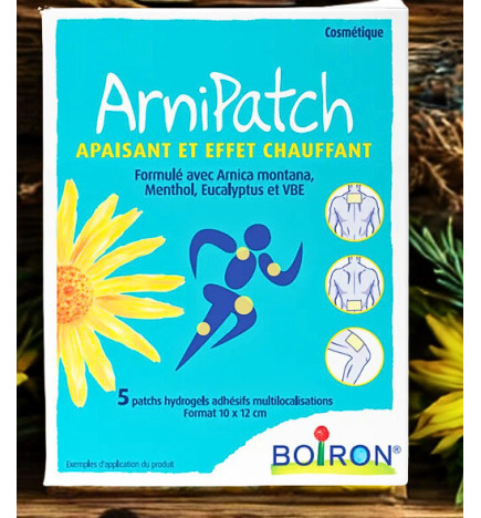 ARNIPATCH APAIS&CHAUFF 10X12CM 5