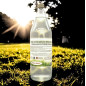 SEVE DE BOULEAU BIO 1LITRE SEVE DE BOULEAU BIO 1LITRE