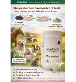 LEVA-CARB POUDRE ORALE 500G