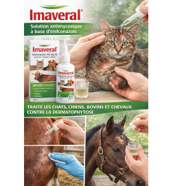 solution antifongique vétérinaire à base d’énilconazole, pour le traitement de la teigne et des infections fongiques chez chats,
