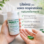 SINUBASE BRONCHES et SINUS Huiles essentielles 30 capsules SINUBASE BRONCHES et SINUS Huiles essentielles 30 capsules