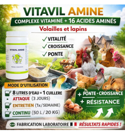 VITAVIL AMINE – Complexe vitaminé enrichi en 16 acides aminés pour tous animaux d’élevage