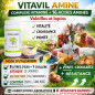 VITAVIL AMINE PDR/SOL BUV 190G VITAVIL AMINE PDR/SOL BUV 190G