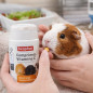 BEAPHAR VIT C COCHON D'INDE 100 comprimés