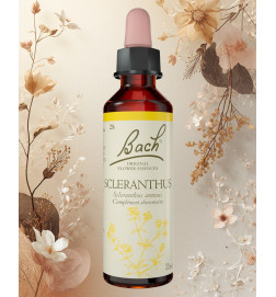 FLEUR DE BACH 28 SCLERANTHUS personnes indécises