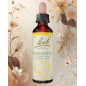 FLEUR DE BACH 28 SCLERANTHUS FLEUR DE BACH 28 SCLERANTHUS