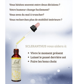 FLEUR DE BACH 28 SCLERANTHUS personnes indécises