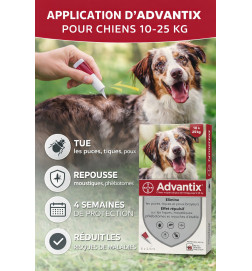 Advantix Chien 10 à 25 kg – Antiparasitaire Puces, Tiques & Moustiques | Boîte 6 Pipettes