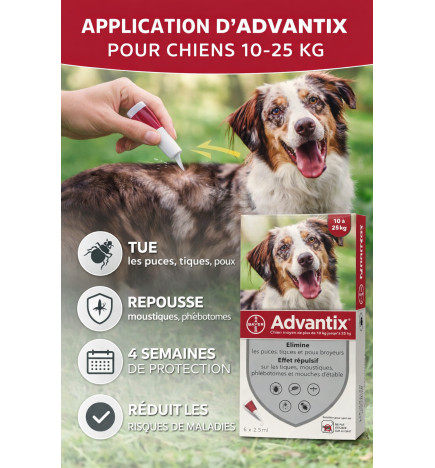 ADVANTIX  CHIEN MOYEN 6 Pipettes