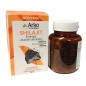 ARKOGELULES SHILAJIT 60 gélules