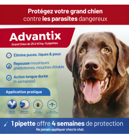 Application facile d’Advantix chez le chien : pipette à appliquer en 4 points pour une protection efficace pendant 4 semaines.