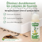 ABATOUT Fourmi Gel 50 ml