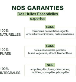Protection anti-moustiques renforcée pour les voyages en zones tropicales