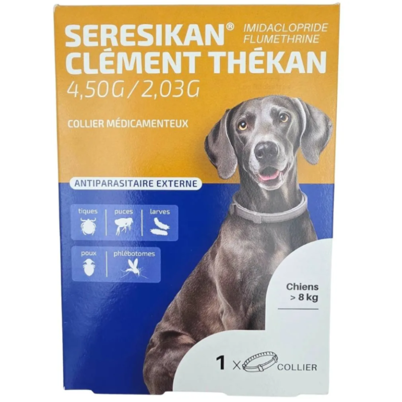 SERESIKAN CLEMENT THEKANT GRAND CHIEN COLLIER SERESIKAN CLEMENT THEKANT GRAND CHIEN COLLIER