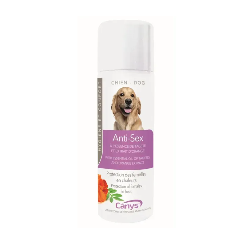 ANTI-SEX CANYS CHIENNE
