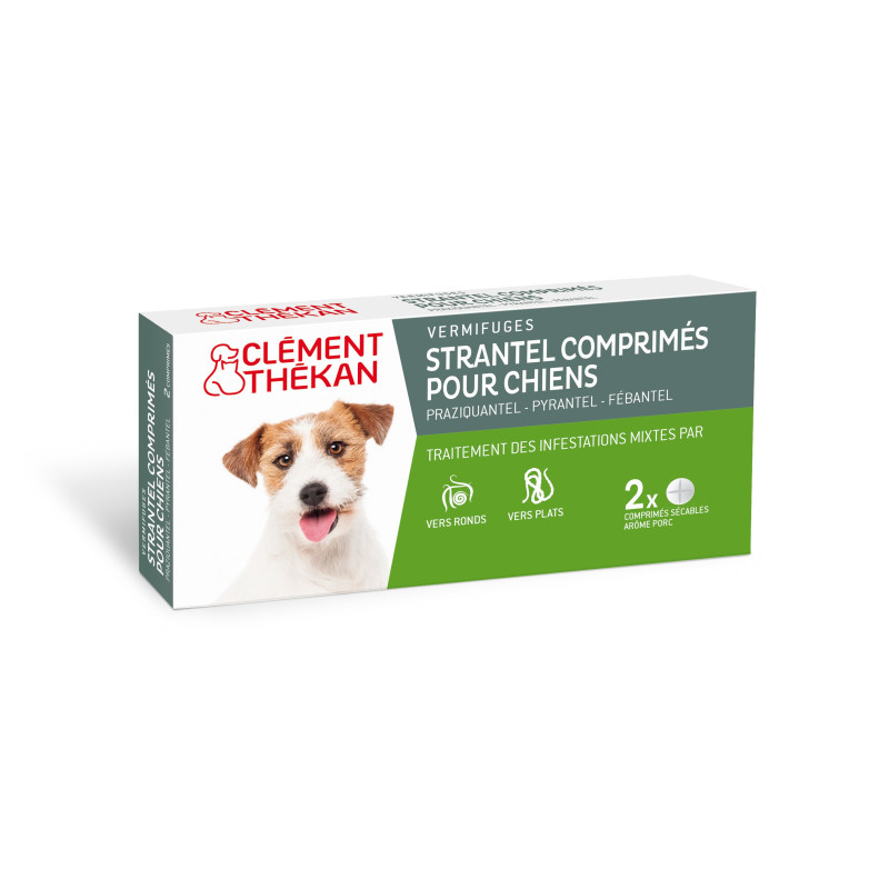 STRANTEL CLEMENT THEKAN CHIENS – BOÎTE DE 2 COMPRIMÉS