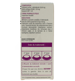 DOLTHENE CHIEN L – 33 À 66 KG – 100 ML