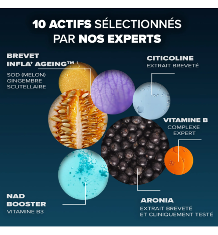 ARKOPHARMA CAPITAL CEREBRAL 60 GELULES