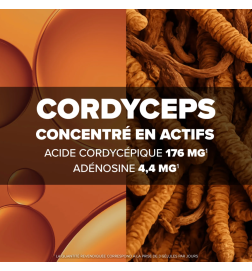 Arkopharma Arkogélules Cordyceps 60 gélules | Performances