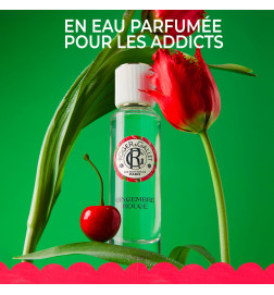 ROGER GALLET SAVON PARFUME GINGEMBRE ROUGE 100G