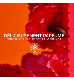 Roger & Gallet Savon Gingembre Rouge 100 g | Savon Parfumé