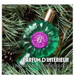 Roger & Gallet Souffle un Coup – Parfum d'Intérieur 100 ml