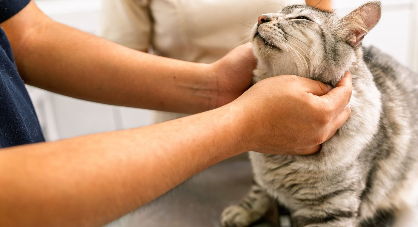 Médicaments vétérinaires pour tous les animaux - LA PHARMACIE VERTE