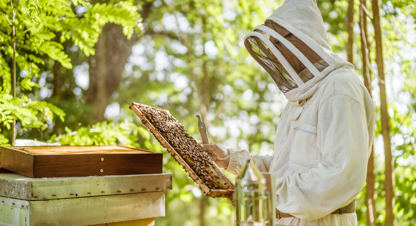 Apiculture