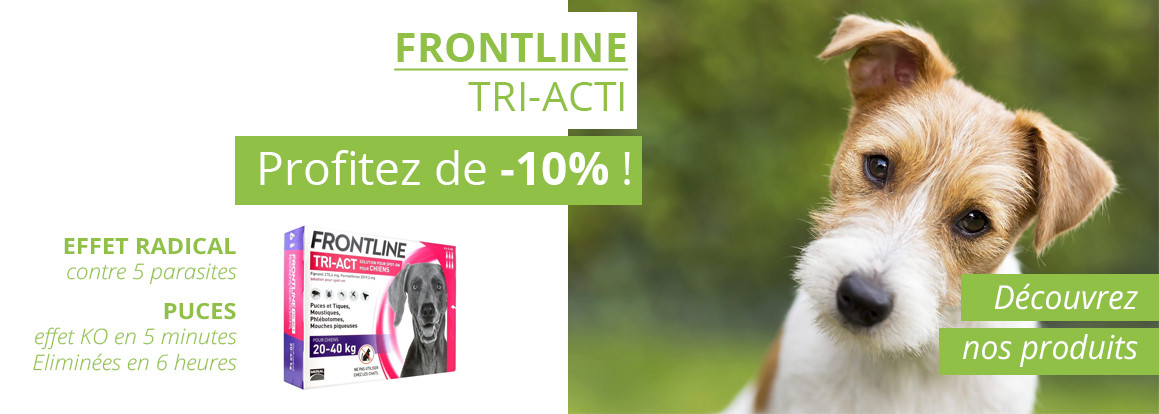 Frontline