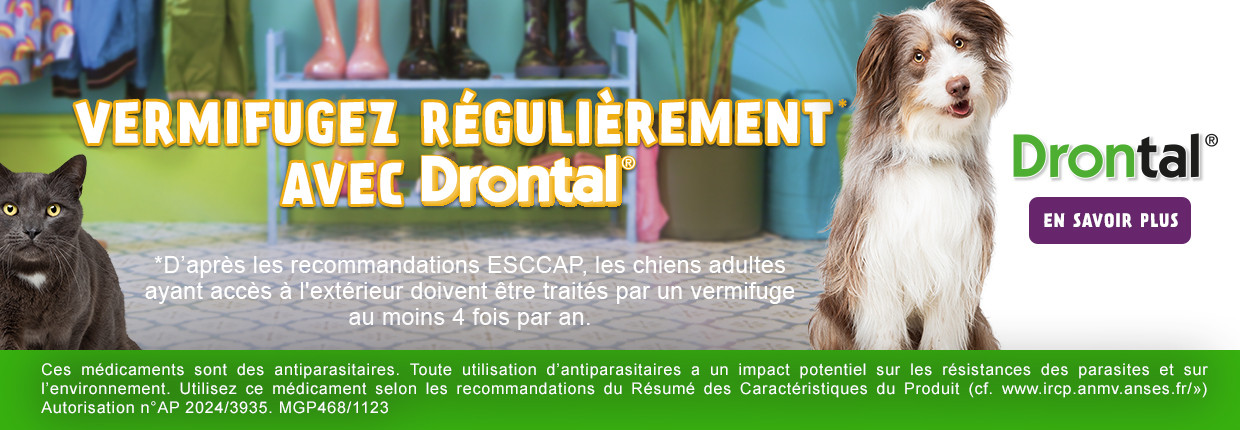Drontal