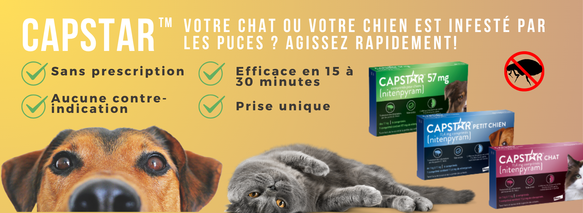 Capstar Elanco